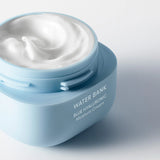 Waterbank Blue HA Moisture Cream